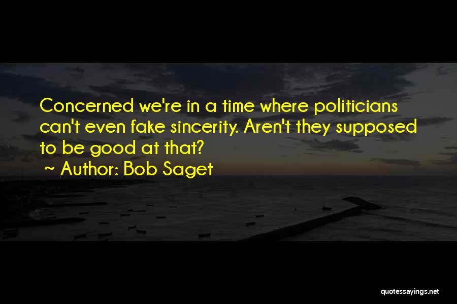 Bob Saget Quotes 1384926