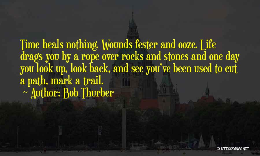 Bob Thurber Quotes 1421344