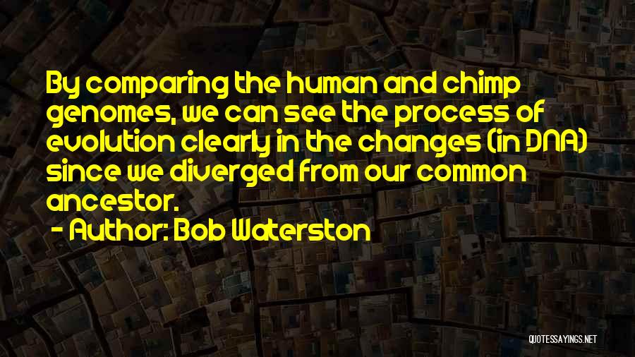 Bob Waterston Quotes 1846483