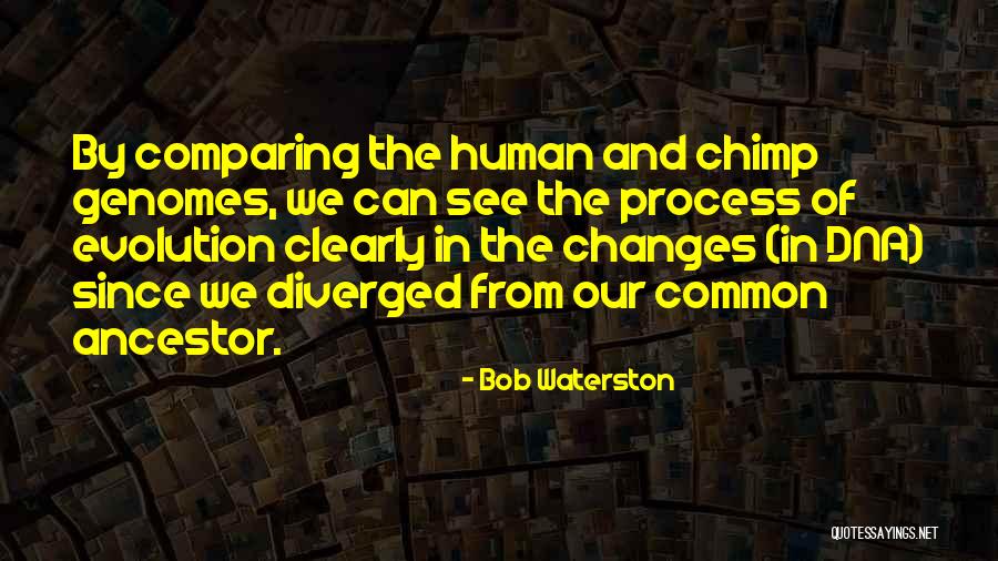 Bob Waterston Quotes 1846483 Bob Waterston Quotes 1846483