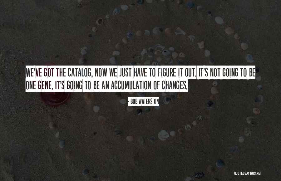 Bob Waterston Quotes 2139870 Bob Waterston Quotes 2139870