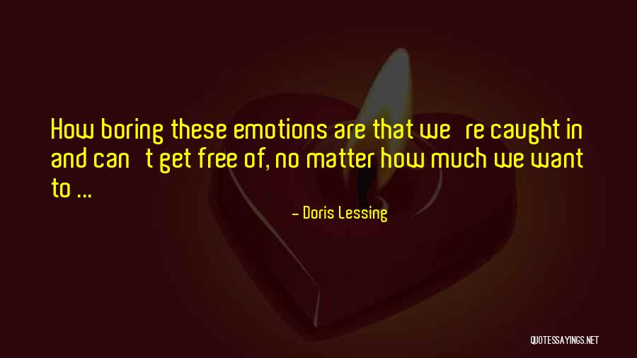 Bobak Ferdowsi Quotes By Doris Lessing Bobak Ferdowsi Quotes By Doris Lessing