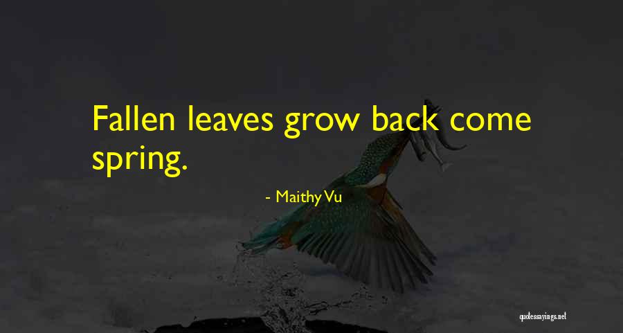 Bobbles And Baubles Quotes By Maithy Vu