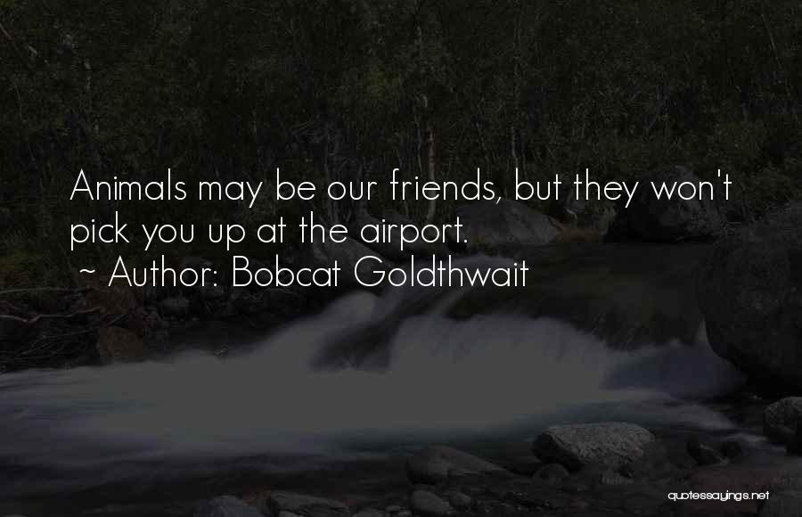 Bobcat Goldthwait Quotes 1674328