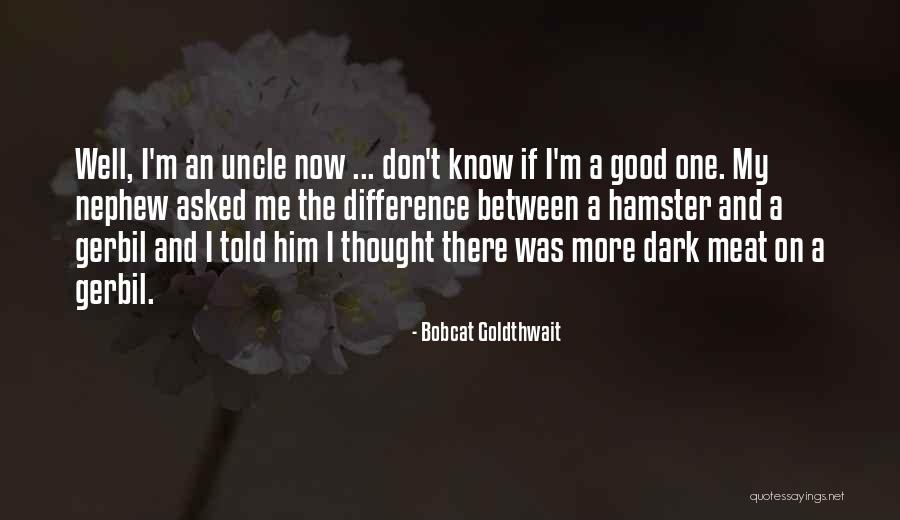 Bobcat Goldthwait Quotes 1990528