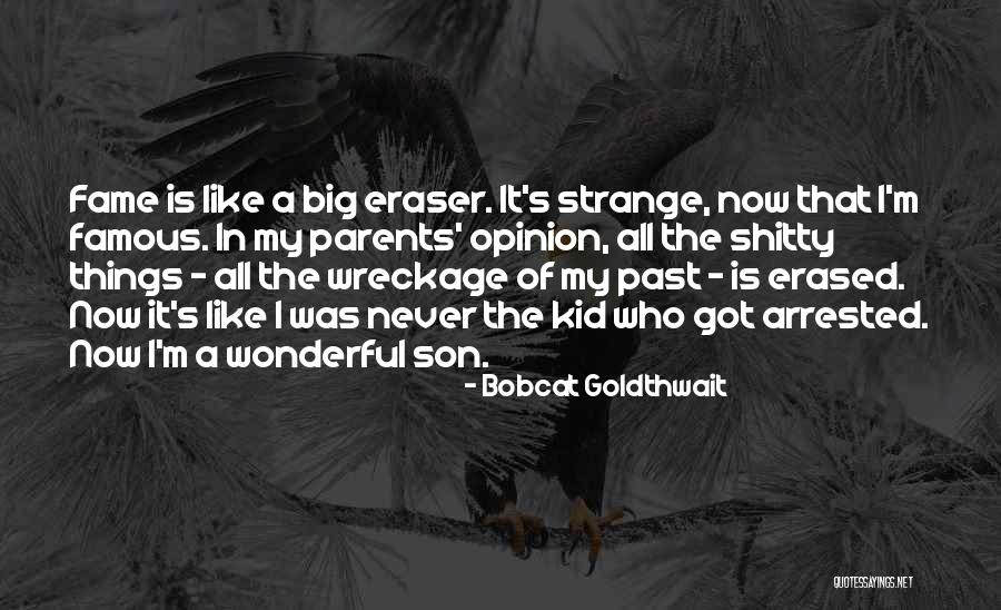 Bobcat Goldthwait Quotes 676836