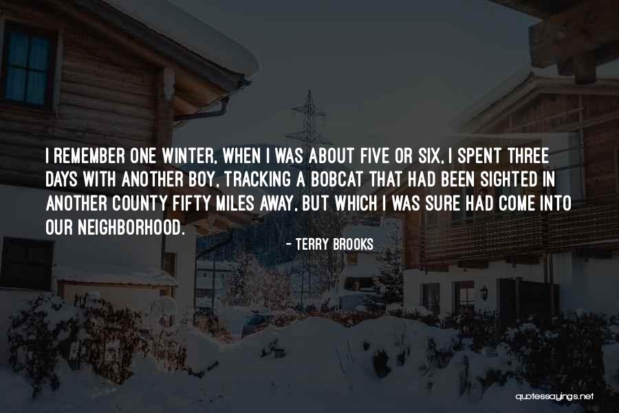 Bobcat Quotes By Terry Brooks Bobcat Quotes By Terry Brooks
