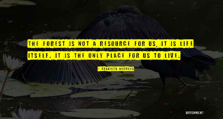 Boberg Quotes By Evaristo Nugkuag Boberg Quotes By Evaristo Nugkuag
