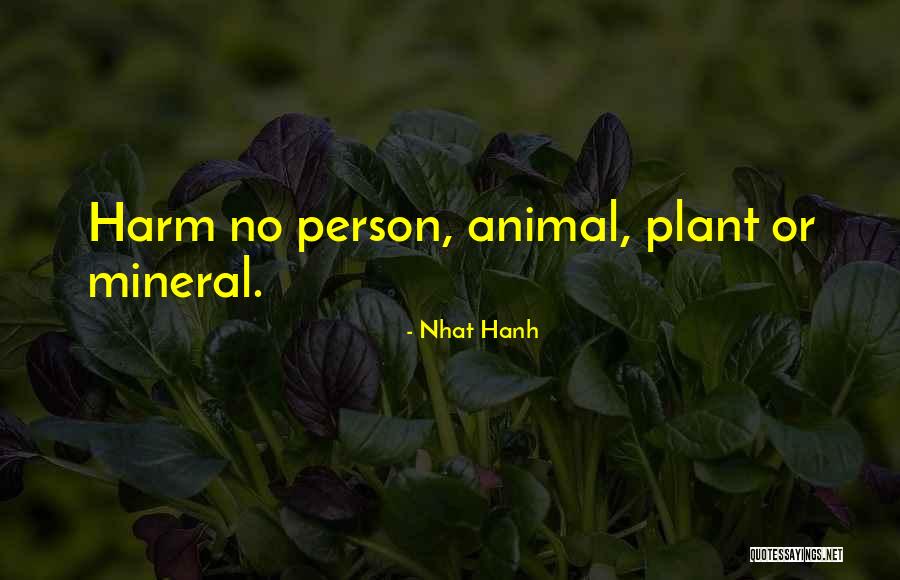 Bobino Glasses Quotes By Nhat Hanh Bobino Glasses Quotes By Nhat Hanh