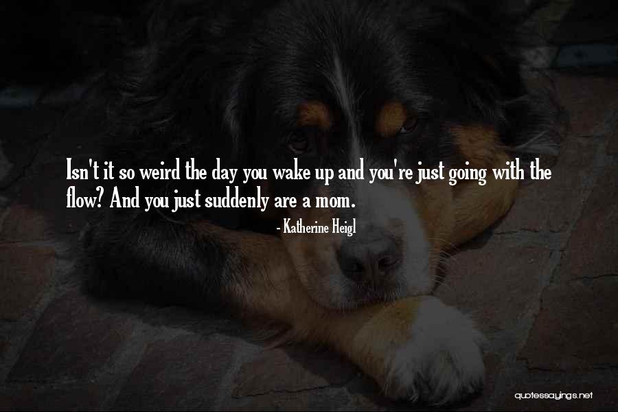 Bobinot At The Cadian Quotes By Katherine Heigl Bobinot At The Cadian Quotes By Katherine Heigl