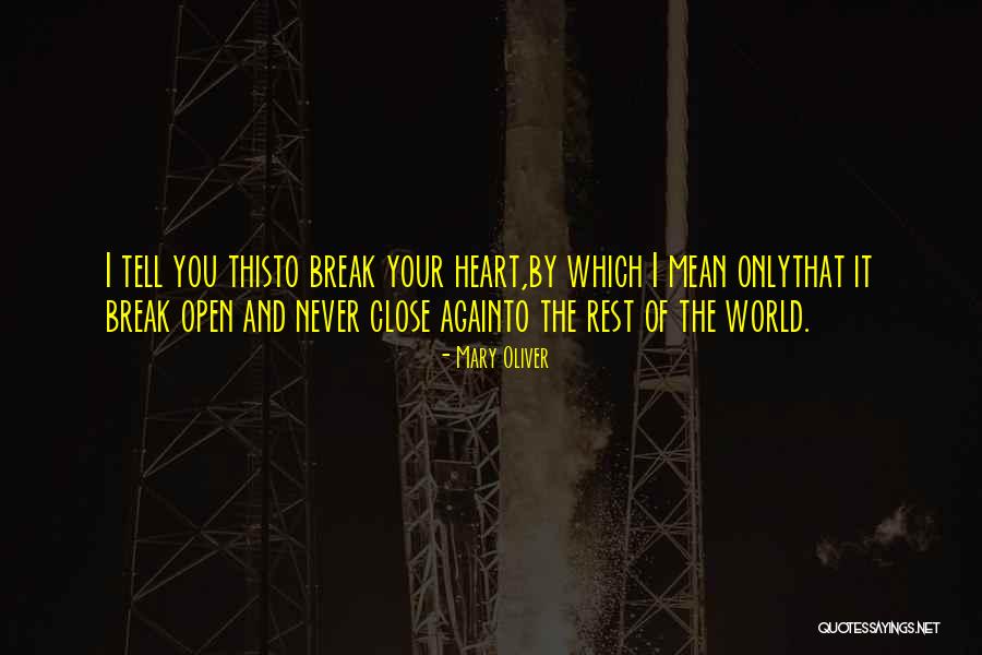 Boboiboy Galaxy Quotes By Mary Oliver Boboiboy Galaxy Quotes By Mary Oliver
