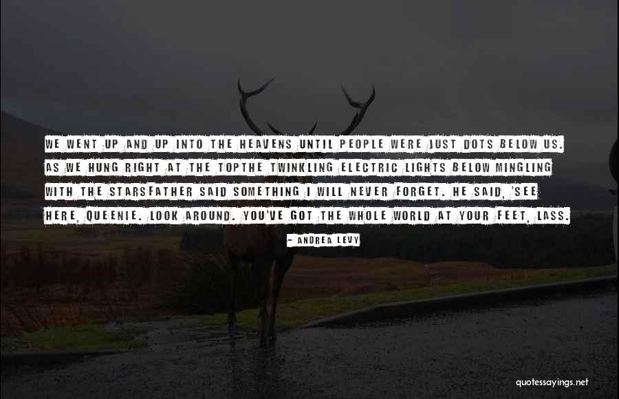Boboteaza Informatii Quotes By Andrea Levy Boboteaza Informatii Quotes By Andrea Levy