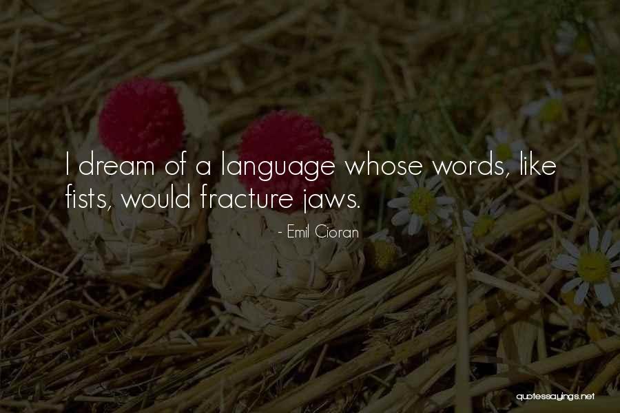 Bobowski Attorney Quotes By Emil Cioran Bobowski Attorney Quotes By Emil Cioran