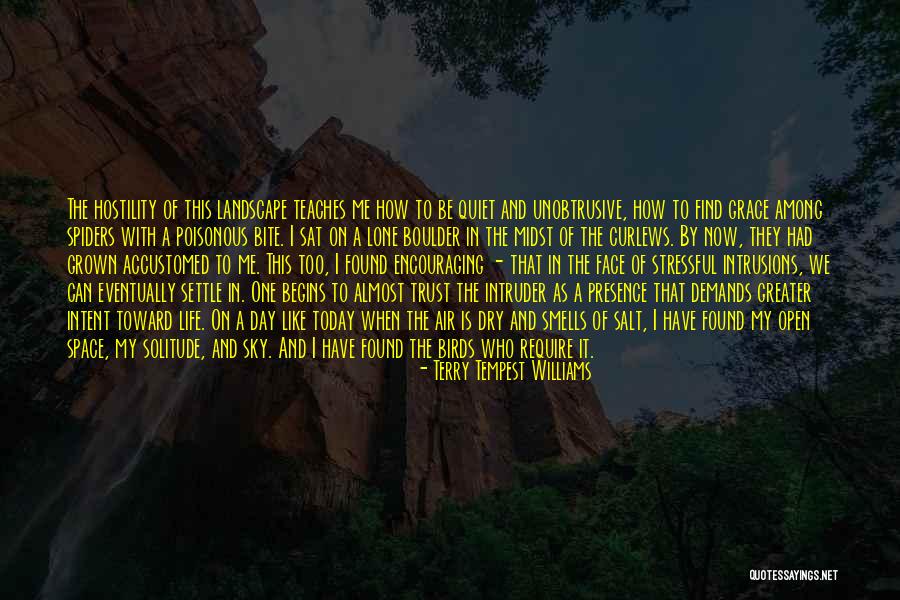 Bocadillo Quotes By Terry Tempest Williams Bocadillo Quotes By Terry Tempest Williams
