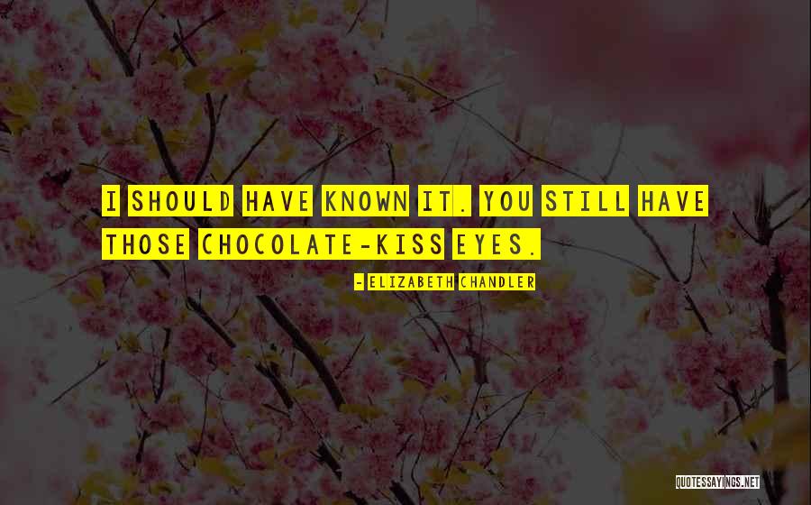 Bocalanding Quotes By Elizabeth Chandler Bocalanding Quotes By Elizabeth Chandler