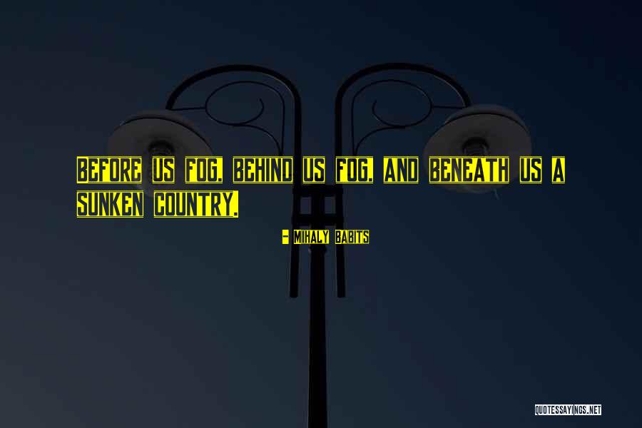 Bocanegra Origin Quotes By Mihaly Babits