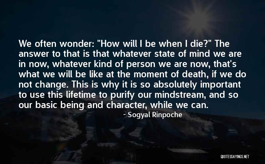 Bocchini Cheese Quotes By Sogyal Rinpoche Bocchini Cheese Quotes By Sogyal Rinpoche