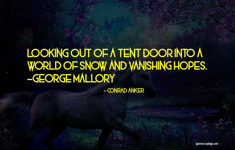 Boccioli Cereus Quotes By Conrad Anker Boccioli Cereus Quotes By Conrad Anker