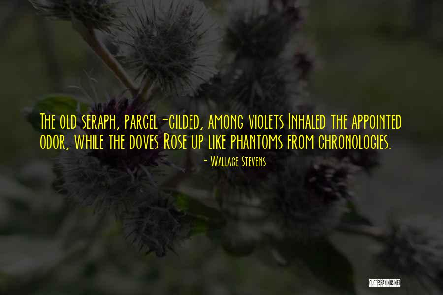 Bochini Soccer Quotes By Wallace Stevens Bochini Soccer Quotes By Wallace Stevens