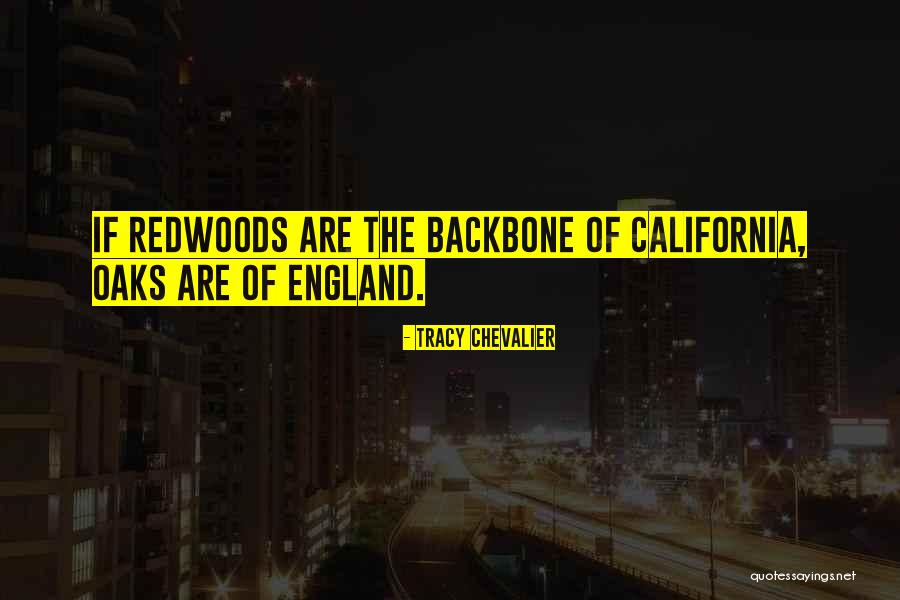 Bodachs Games Arnold Mo Quotes By Tracy Chevalier Bodachs Games Arnold Mo Quotes By Tracy Chevalier