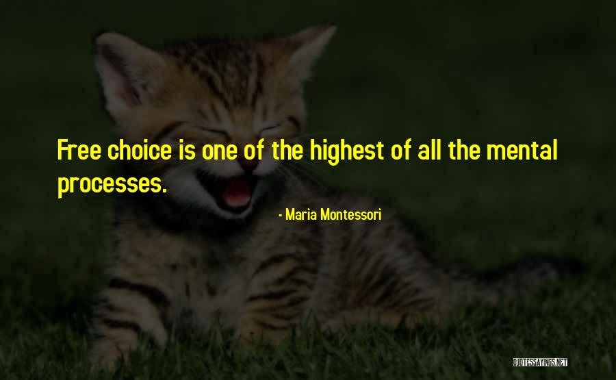 Bodell Bove Quotes By Maria Montessori Bodell Bove Quotes By Maria Montessori