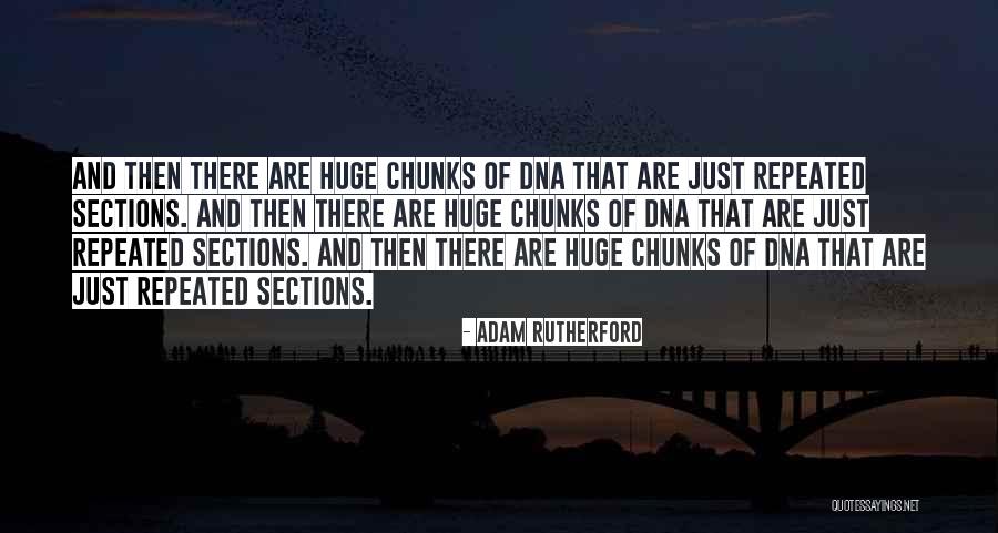 Bodelle De Rondes Height Quotes By Adam Rutherford Bodelle De Rondes Height Quotes By Adam Rutherford