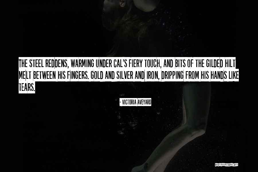 Bodemer Quotes By Victoria Aveyard Bodemer Quotes By Victoria Aveyard