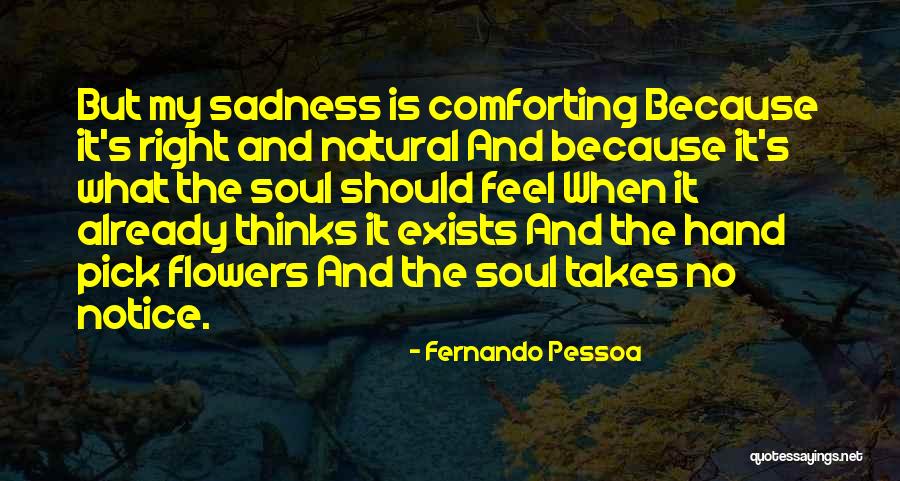 Bodenhamer Appliance Quotes By Fernando Pessoa Bodenhamer Appliance Quotes By Fernando Pessoa