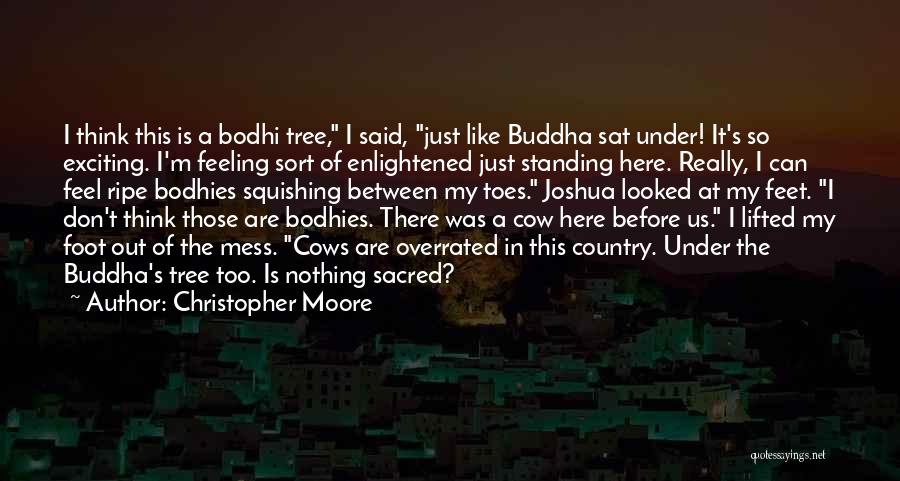 Bodhi Tree Quotes By Christopher Moore