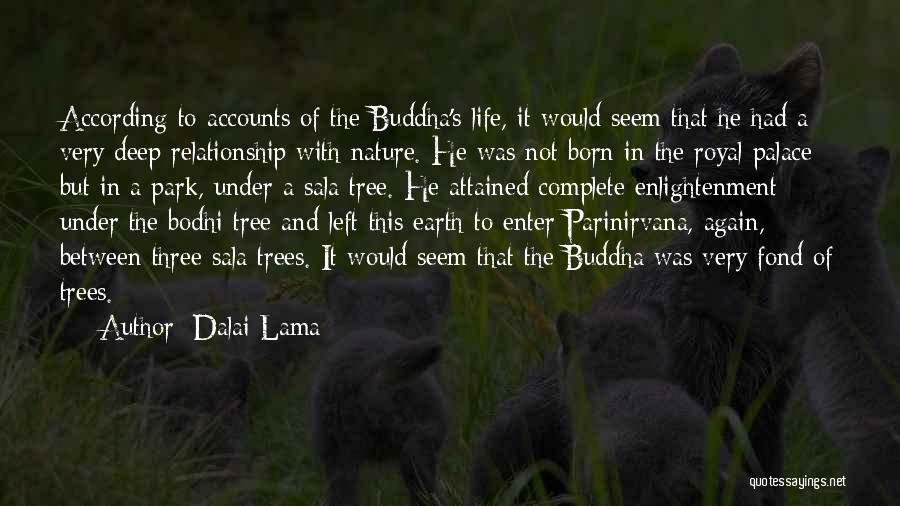 Bodhi Tree Quotes By Dalai Lama