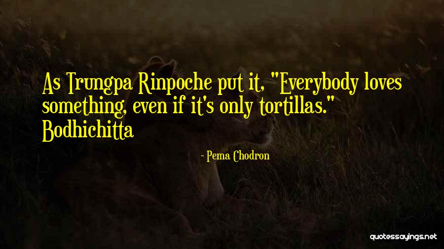 Bodhichitta Quotes By Pema Chodron Bodhichitta Quotes By Pema Chodron
