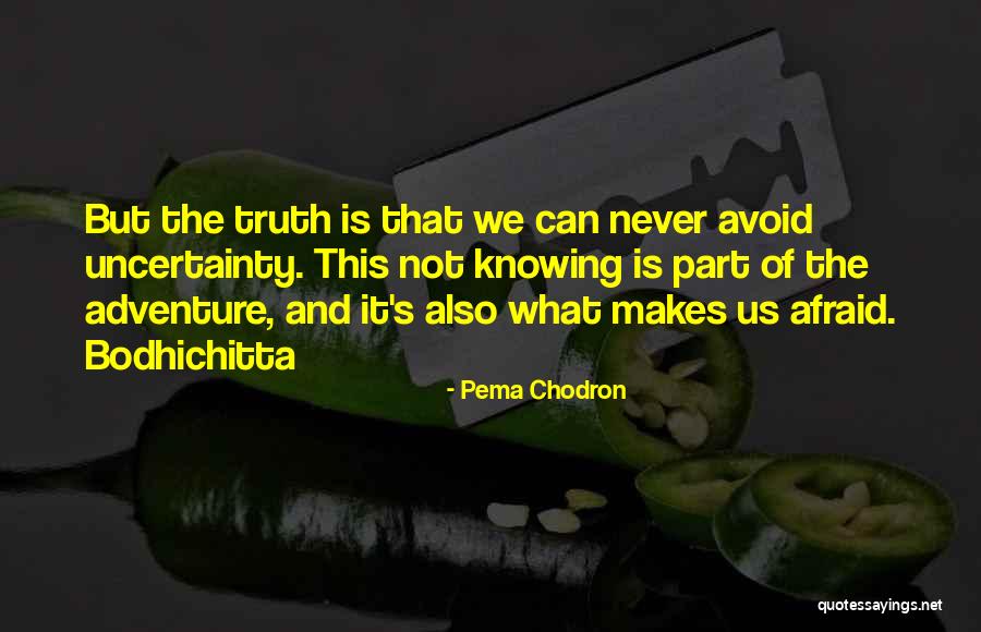 Bodhichitta Quotes By Pema Chodron Bodhichitta Quotes By Pema Chodron
