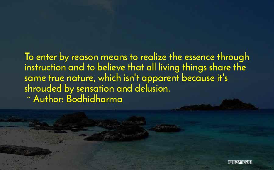 Bodhidharma Quotes 335193