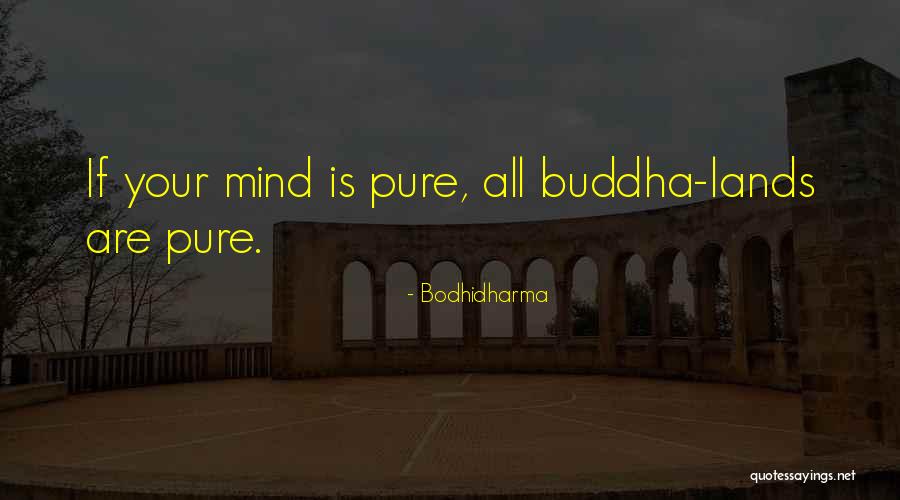 Bodhidharma Quotes 631869