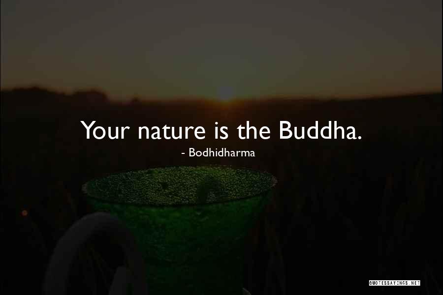 Bodhidharma Quotes 686530 Bodhidharma Quotes 686530