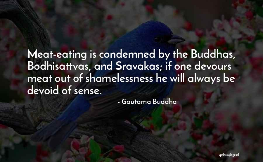 Bodhisattva Quotes By Gautama Buddha Bodhisattva Quotes By Gautama Buddha