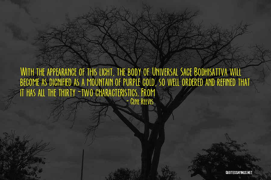 Bodhisattva Quotes By Gene Reeves Bodhisattva Quotes By Gene Reeves