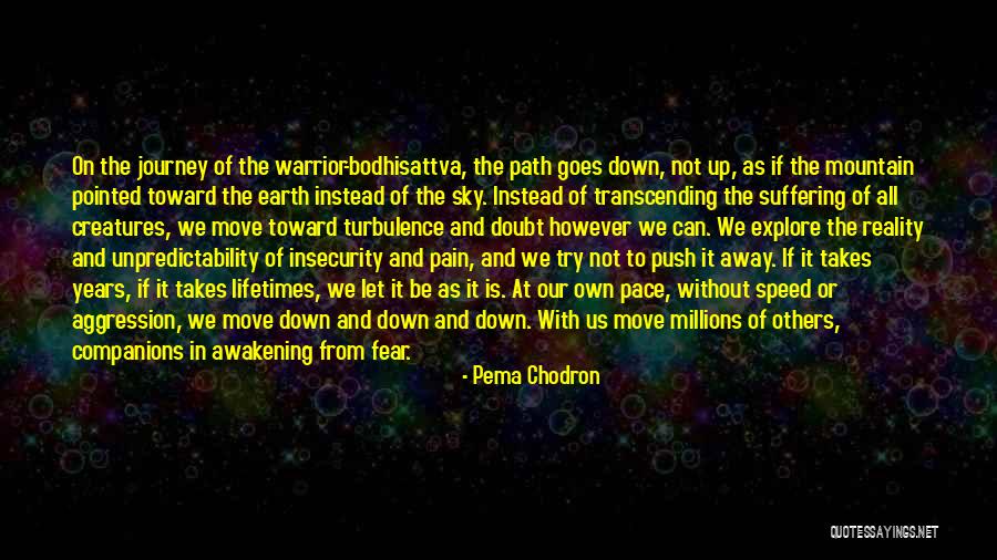 Bodhisattva Quotes By Pema Chodron Bodhisattva Quotes By Pema Chodron