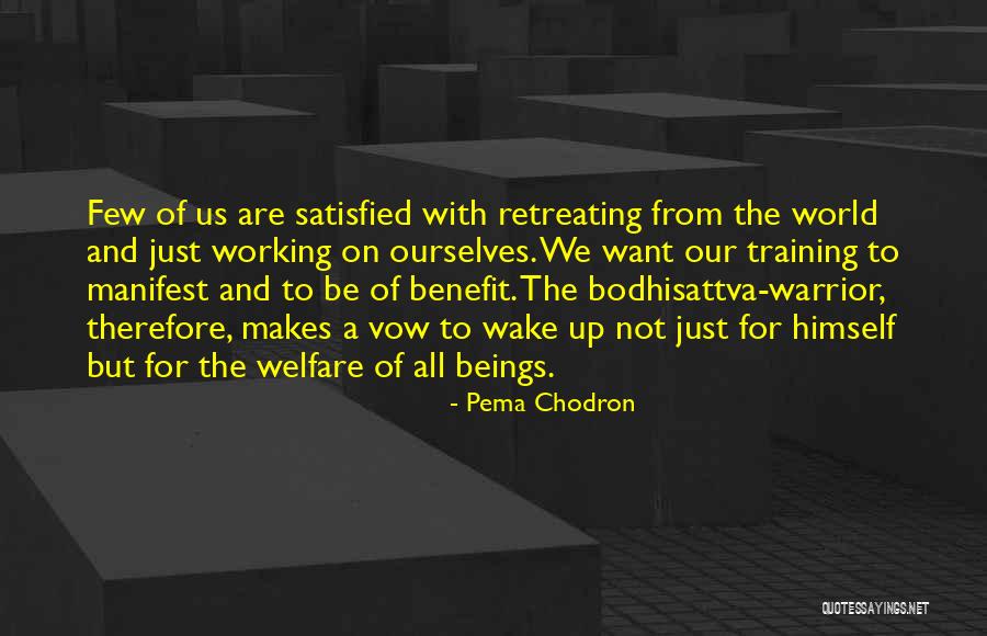 Bodhisattva Quotes By Pema Chodron Bodhisattva Quotes By Pema Chodron