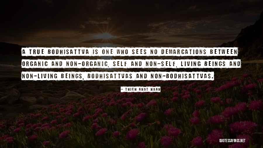 Bodhisattva Quotes By Thich Nhat Hanh Bodhisattva Quotes By Thich Nhat Hanh