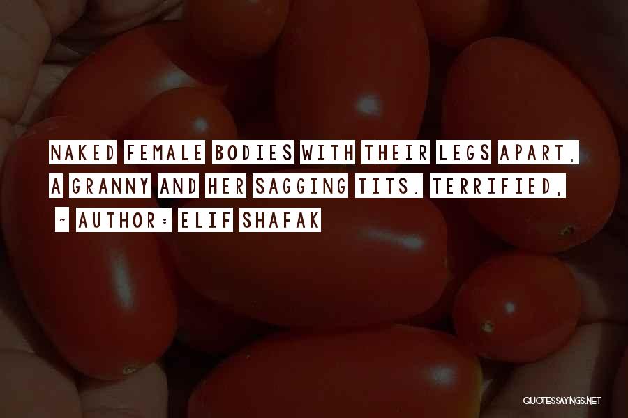 Bodies Quotes By Elif Shafak
