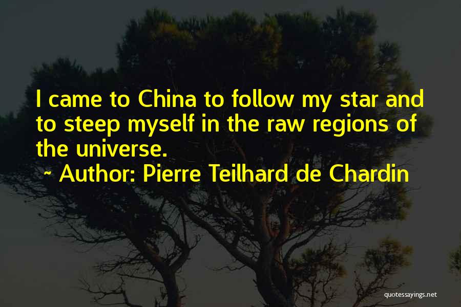 Bodle Chiropractic Des Quotes By Pierre Teilhard De Chardin