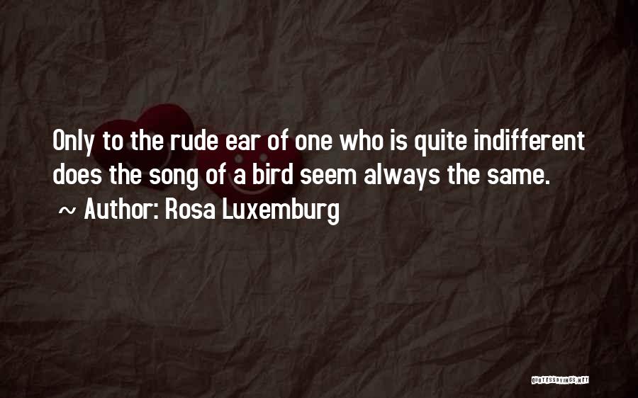 Bodle Chiropractic Des Quotes By Rosa Luxemburg