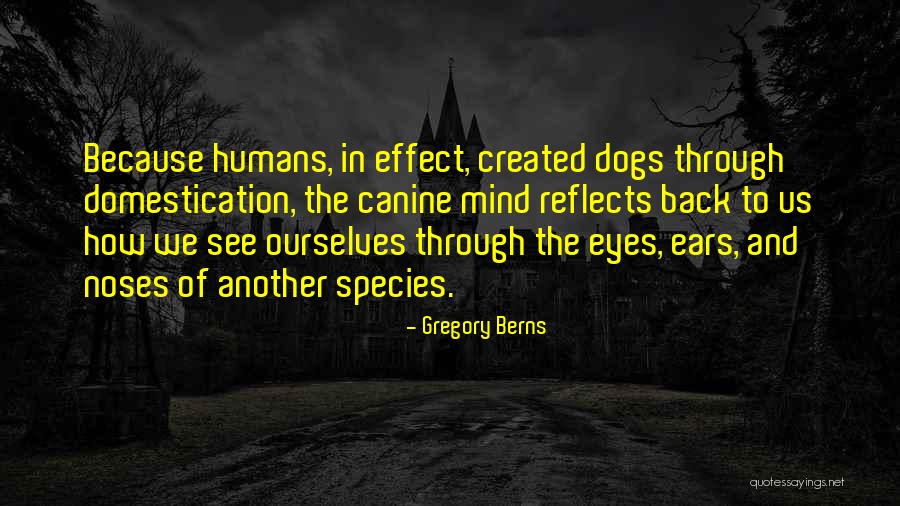 Bodome Quotes By Gregory Berns Bodome Quotes By Gregory Berns