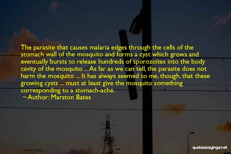 Body Ache Quotes By Marston Bates