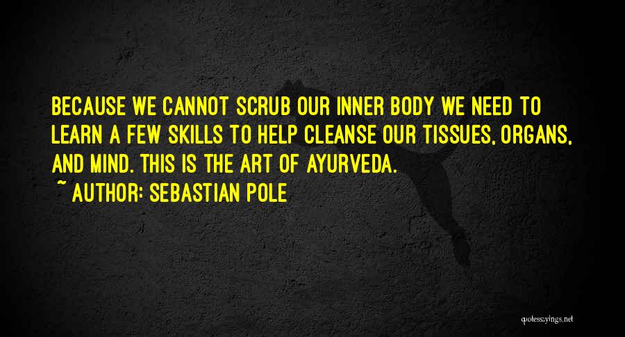 Body And Art Quotes By Sebastian Pole