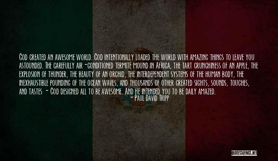 Body And Beauty Quotes By Paul David Tripp Body And Beauty Quotes By Paul David Tripp