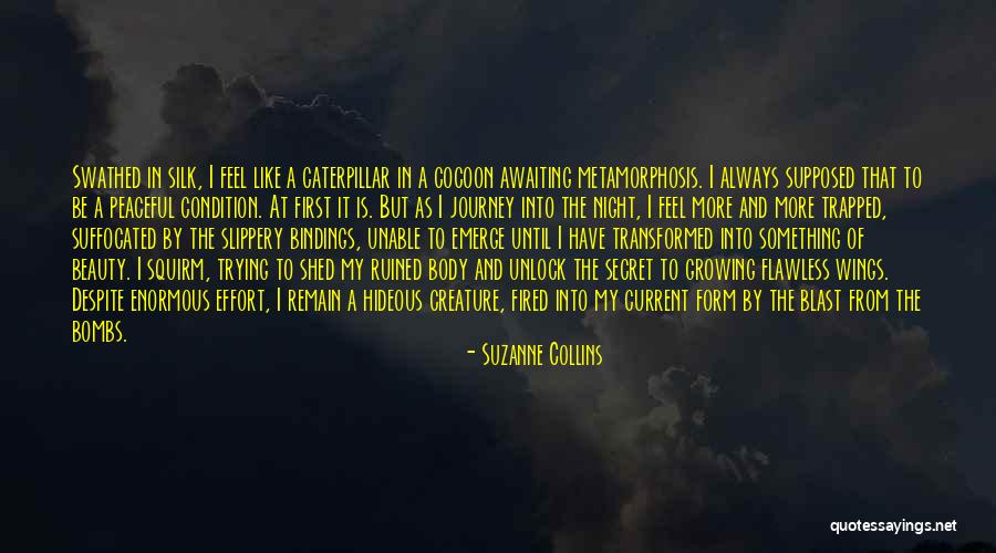 Body And Beauty Quotes By Suzanne Collins Body And Beauty Quotes By Suzanne Collins