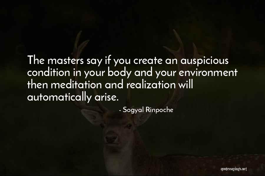 Body And Environment Quotes By Sogyal Rinpoche
