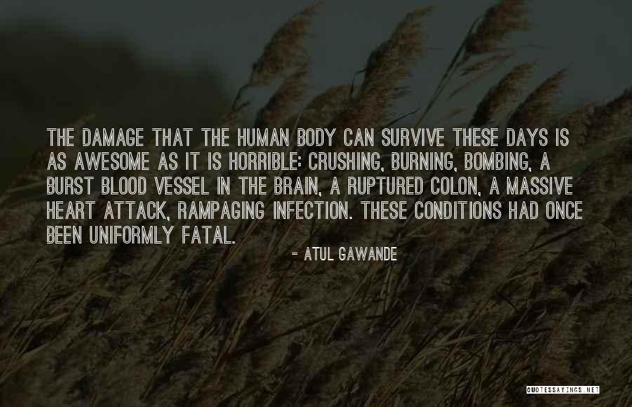 Body Blood Vessel Quotes By Atul Gawande Body Blood Vessel Quotes By Atul Gawande
